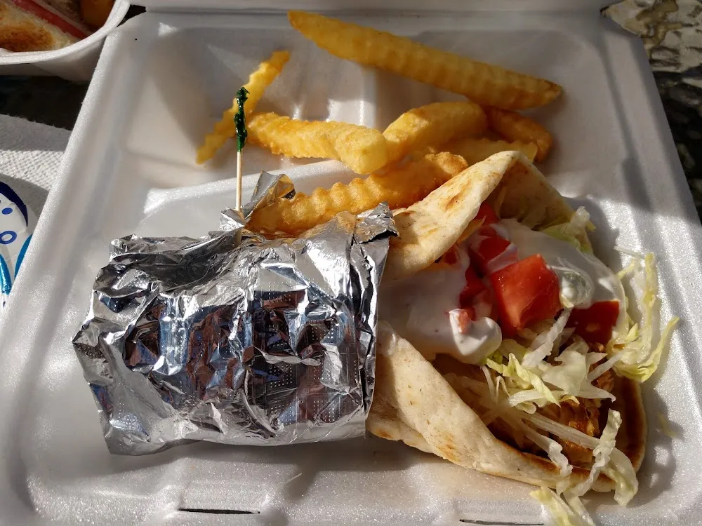 Gyro or Chicken Gyro